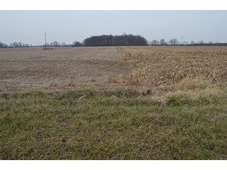 Property photo 24 - LAND AUCTION, 77 Acres offered in 3 Tracts